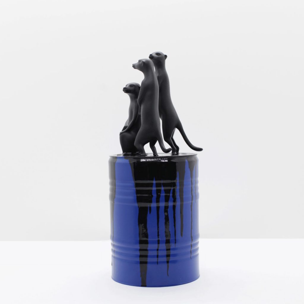 LES SURICATES - Blue