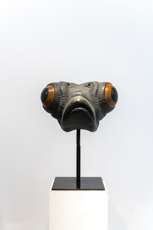 Poisson télescope